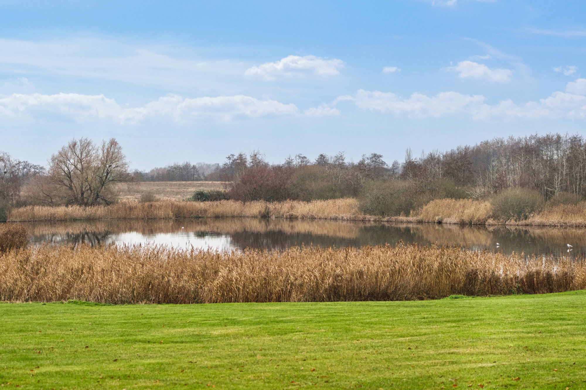 Kærholmen 10, 4000 Roskilde