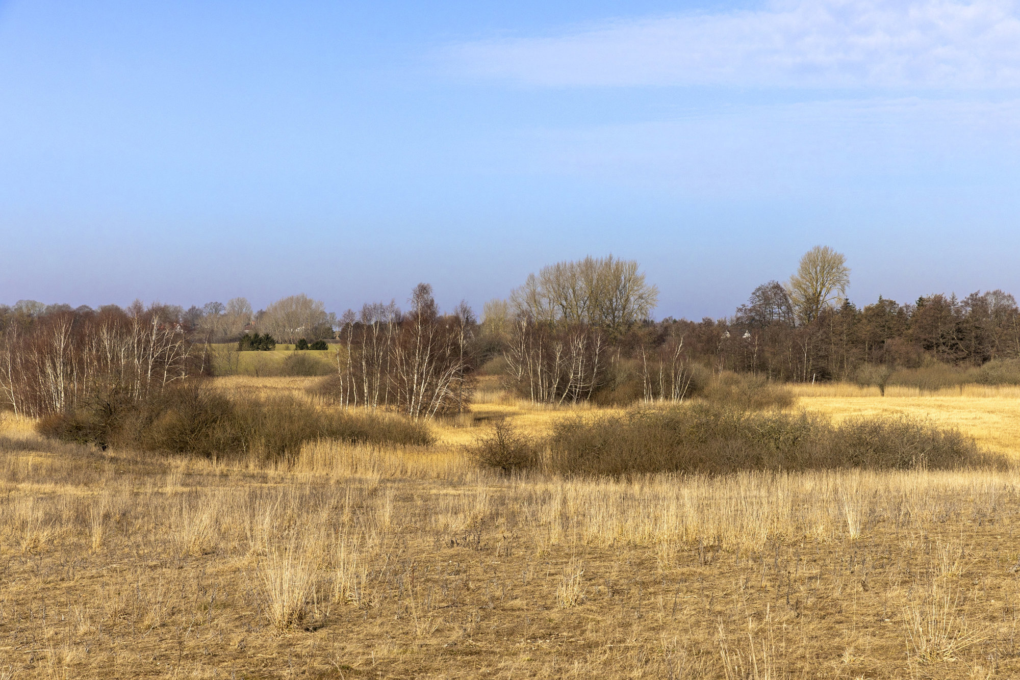 Kongemarksvej 53, 4000 Roskilde