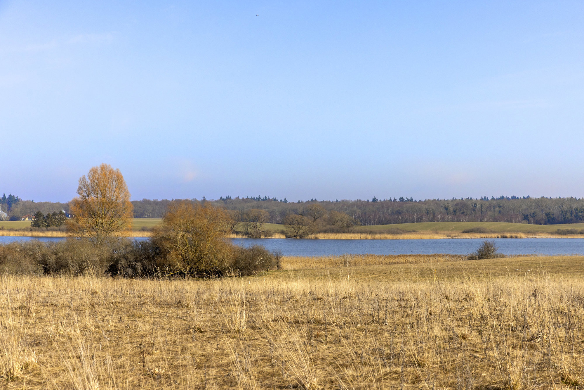 Kongemarksvej 53, 4000 Roskilde
