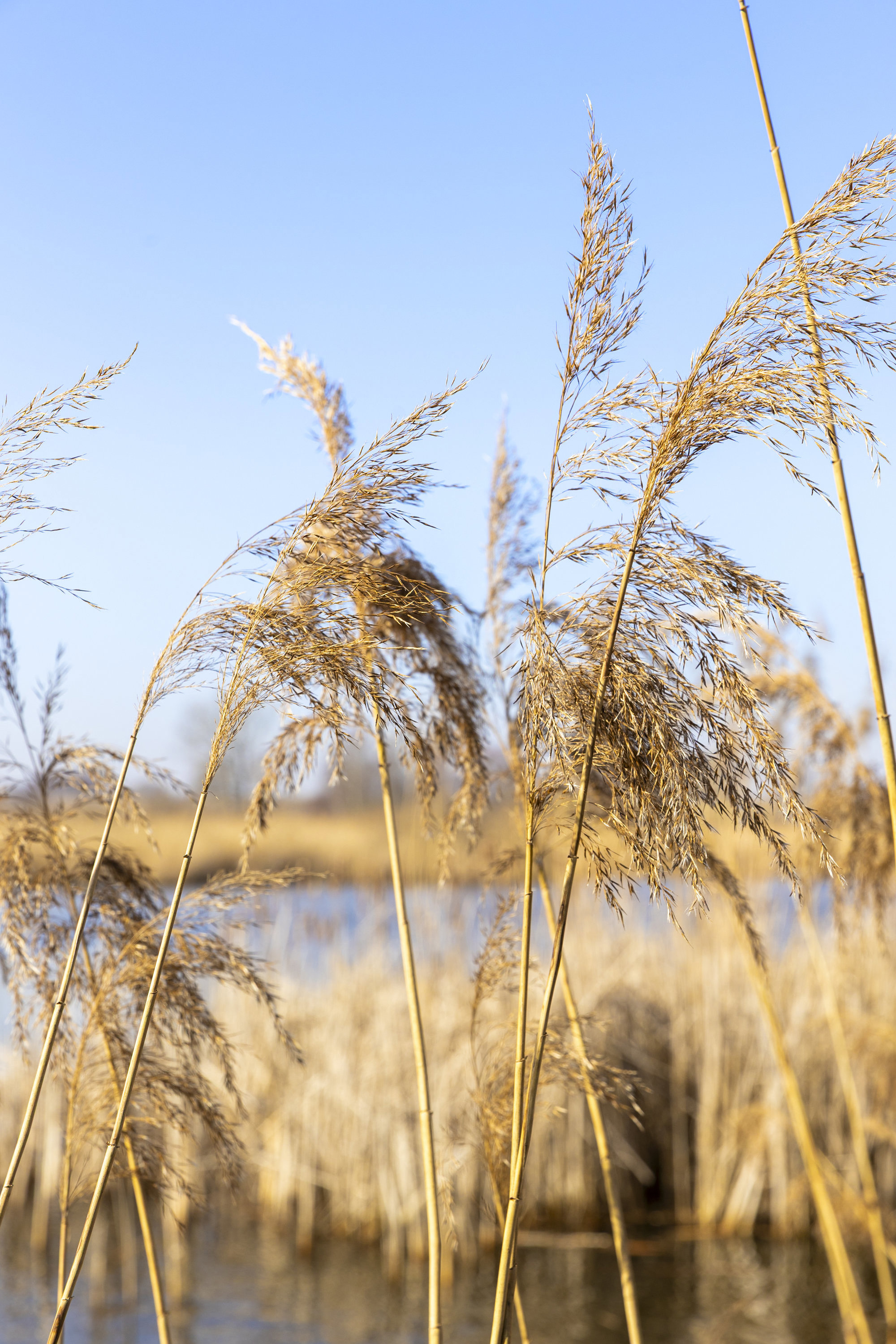 Kongemarksvej 53, 4000 Roskilde