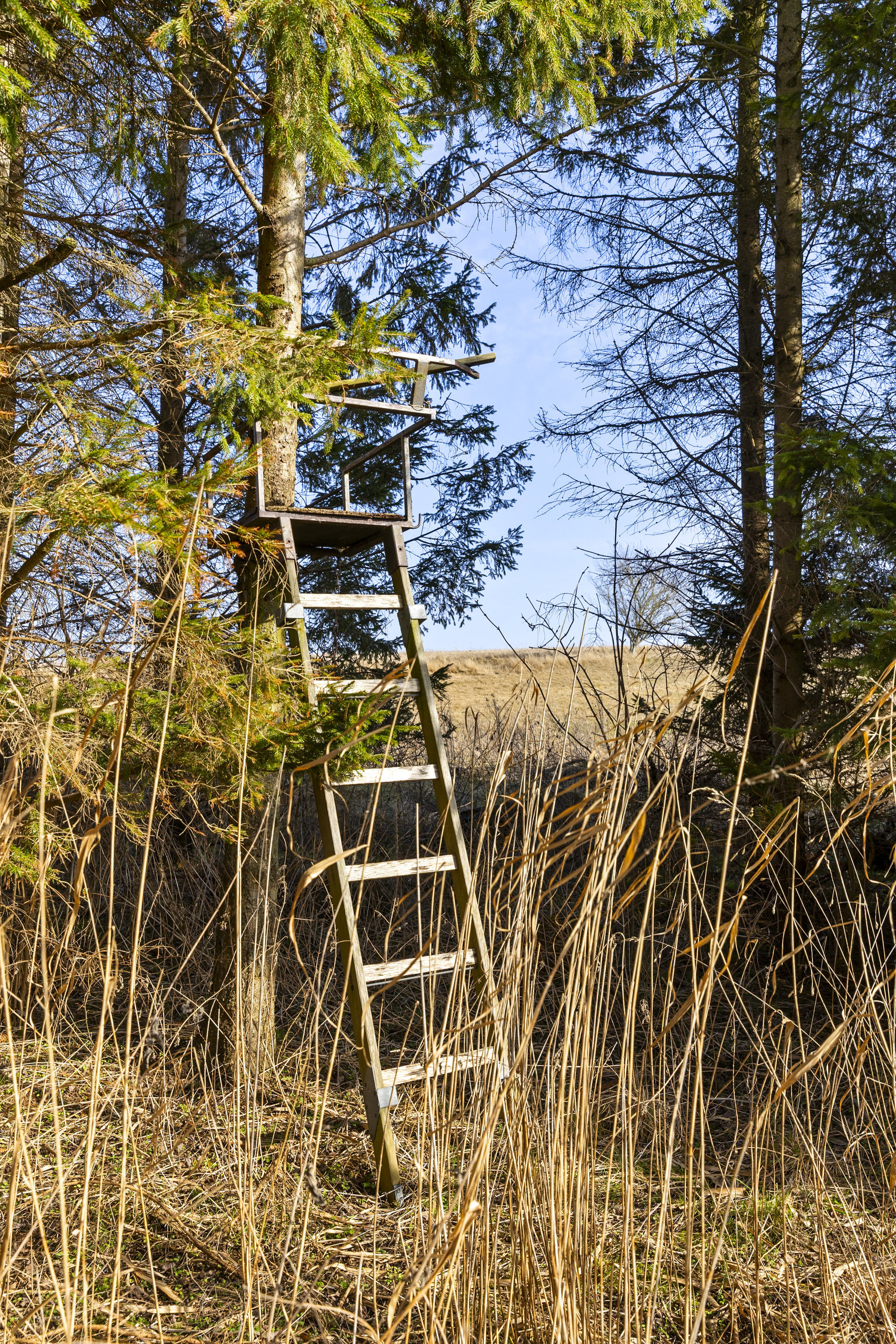 Kongemarksvej 53, 4000 Roskilde