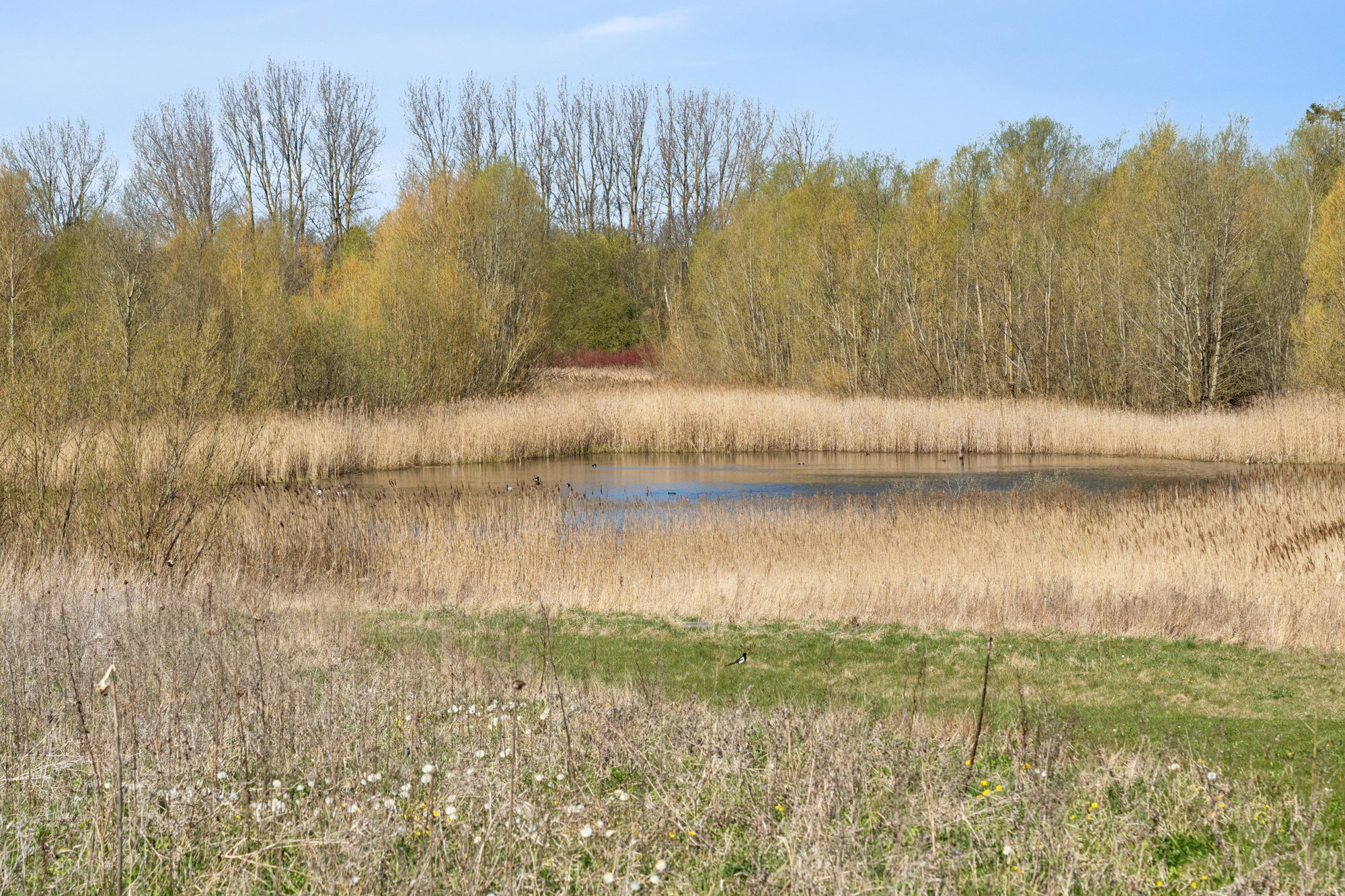 Tofteengen 5, 4000 Roskilde