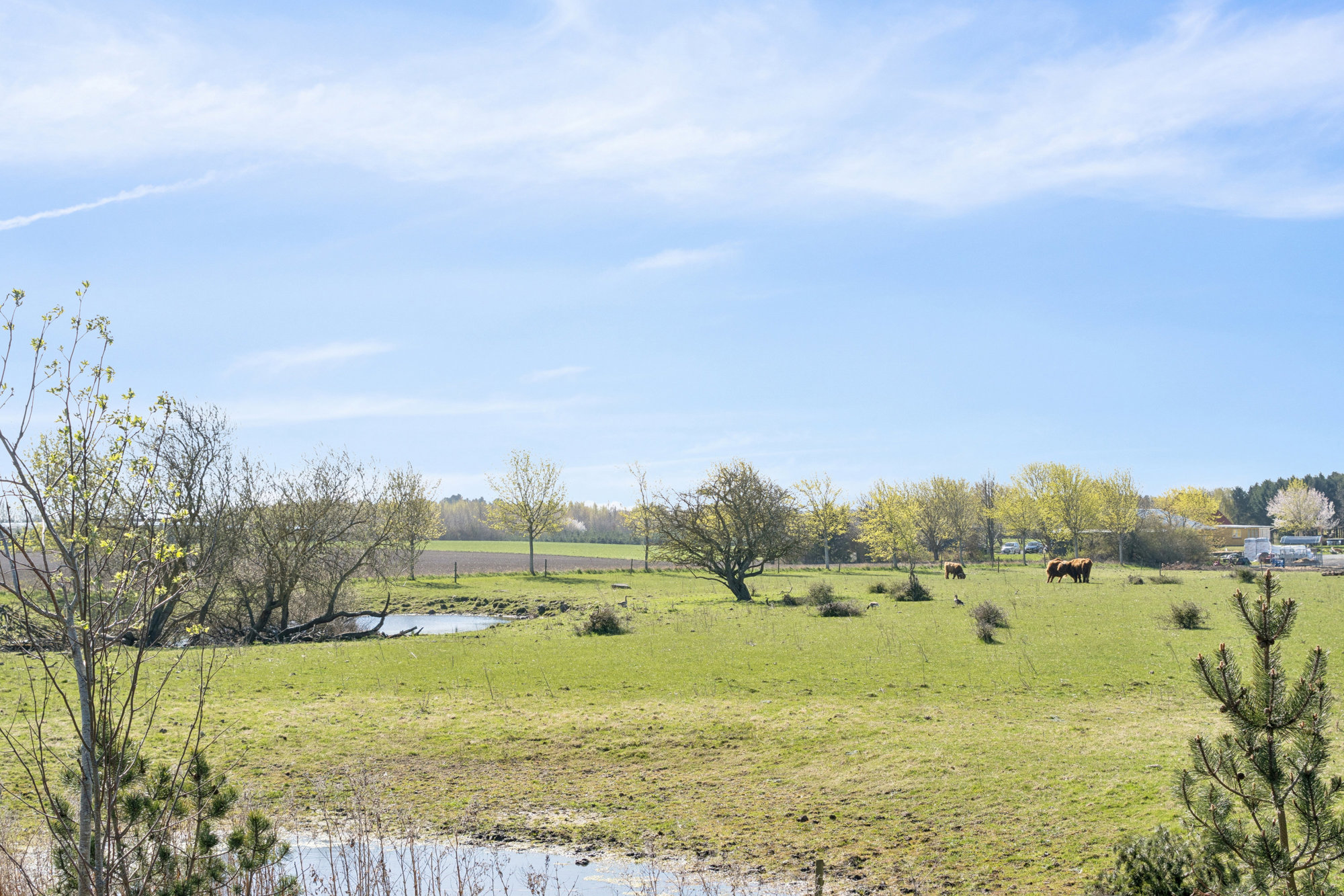 Tofteengen 5, 4000 Roskilde
