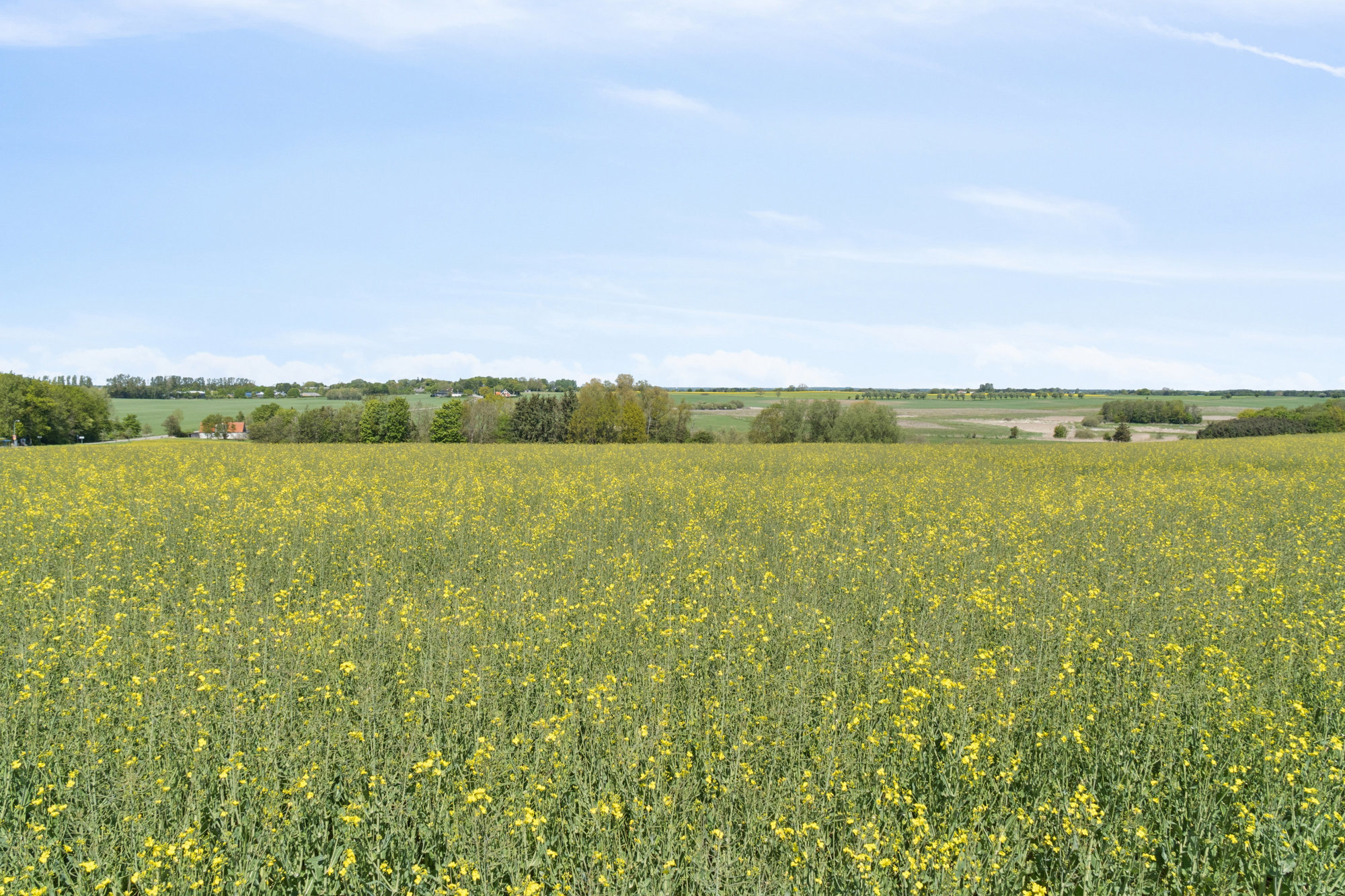 Humlebakken 8, 4000 Roskilde