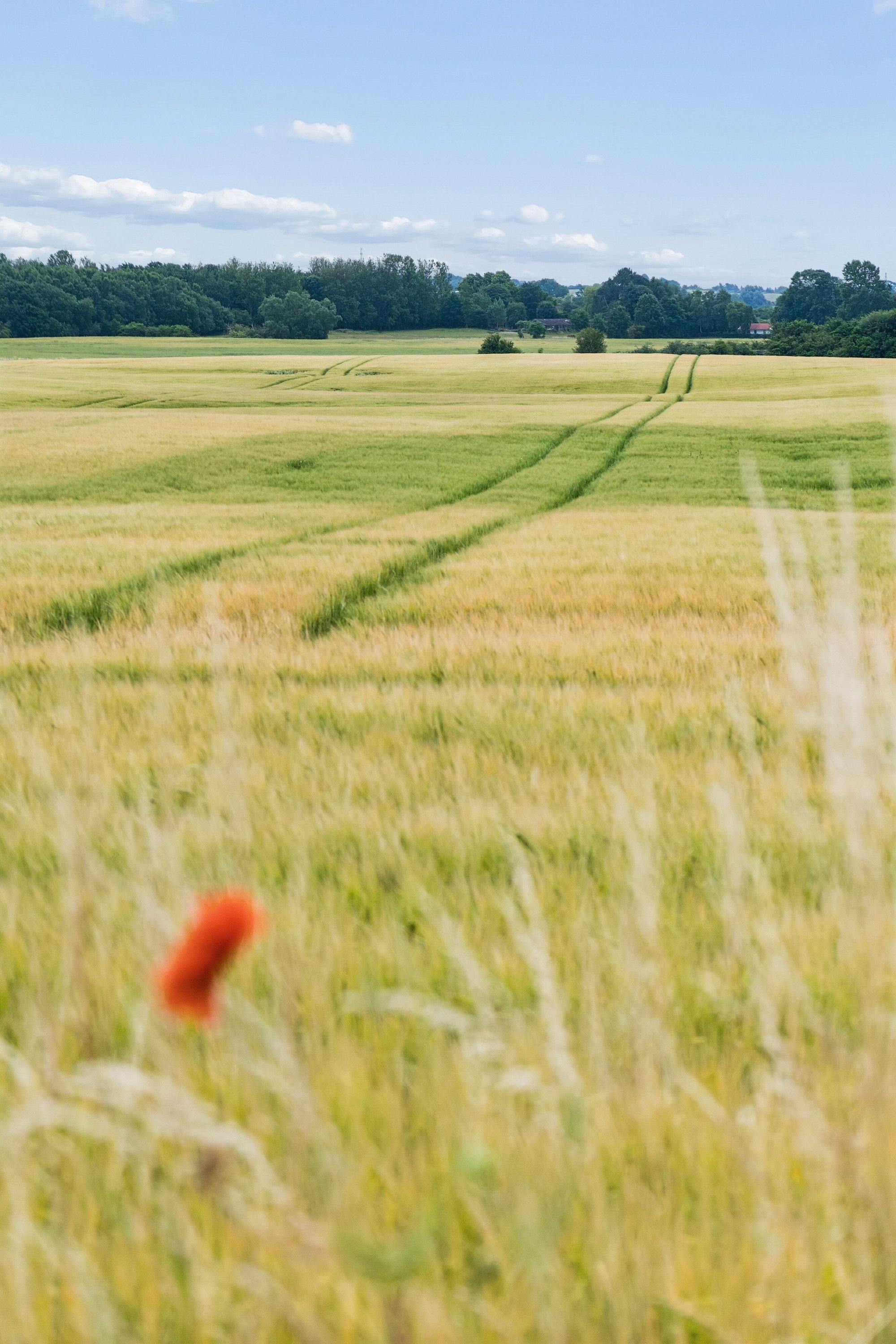 Holløsevej 25, 4420 Regstrup