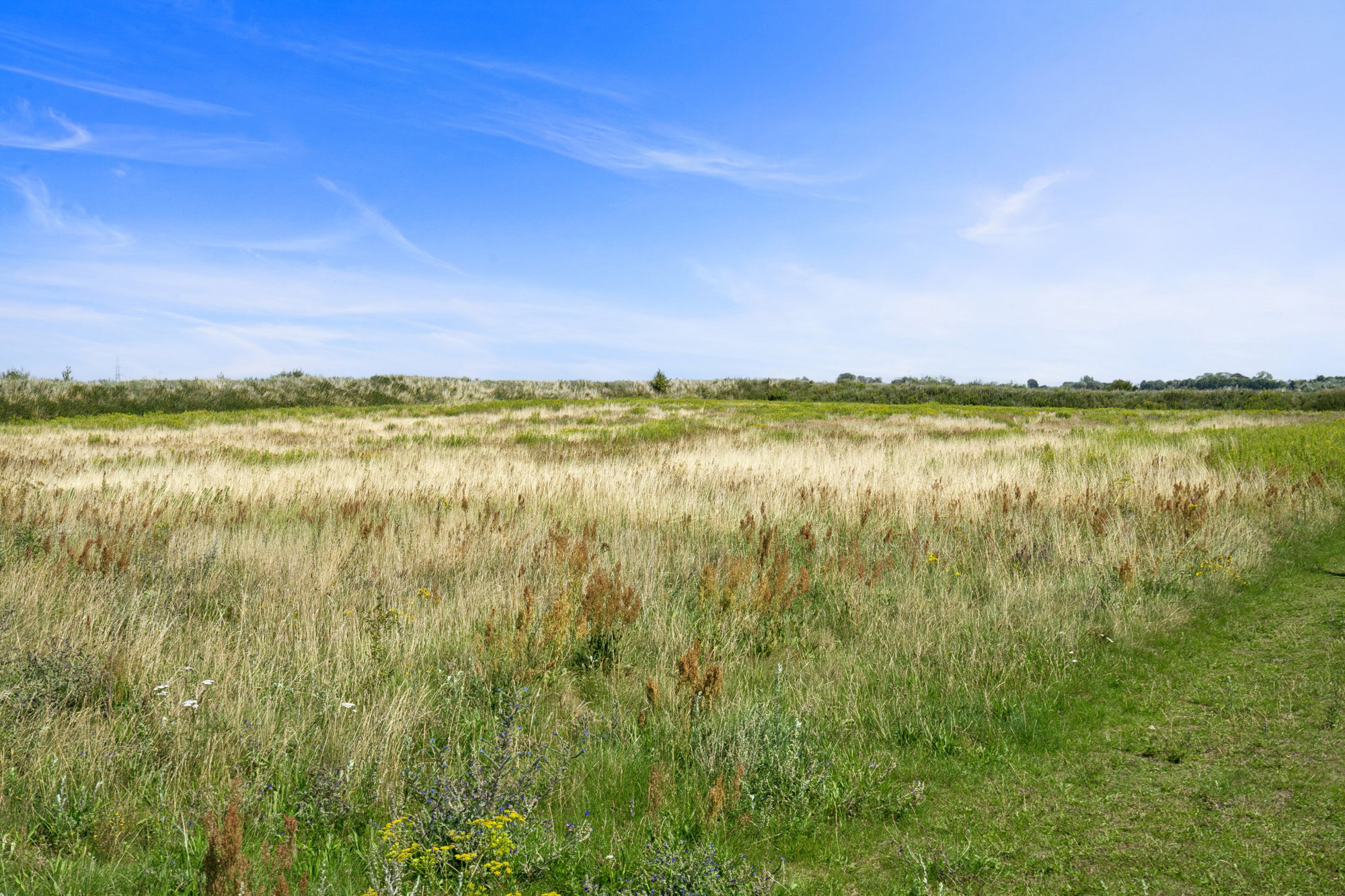 Sandparken 8, 4000 Roskilde