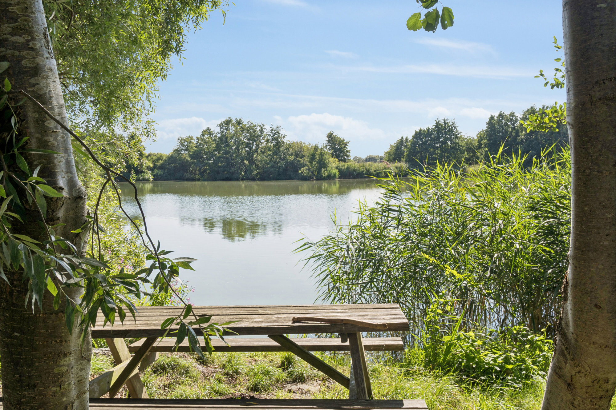 Stovdyssevej 12, 4000 Roskilde