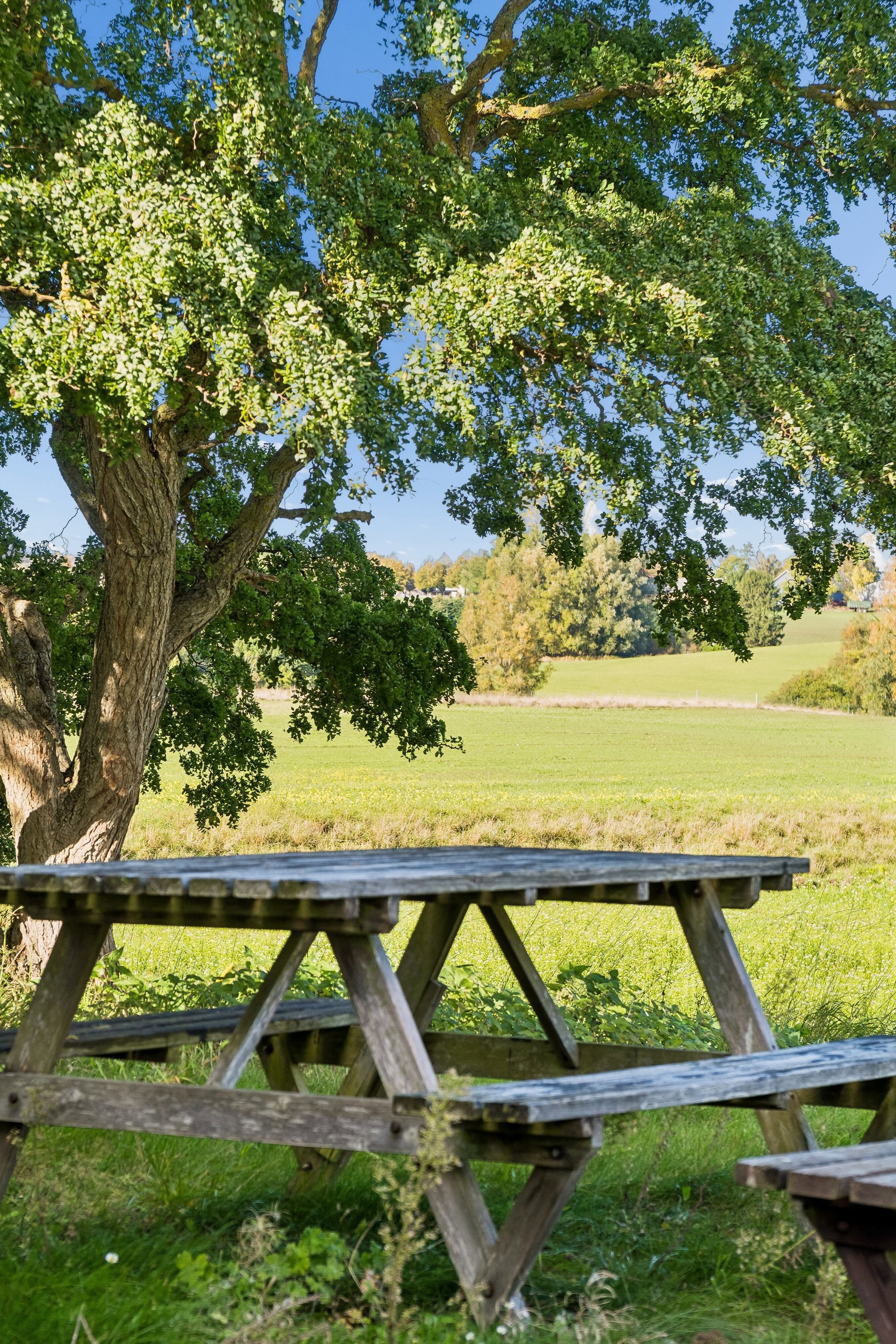Diskret sag , 4000 Roskilde