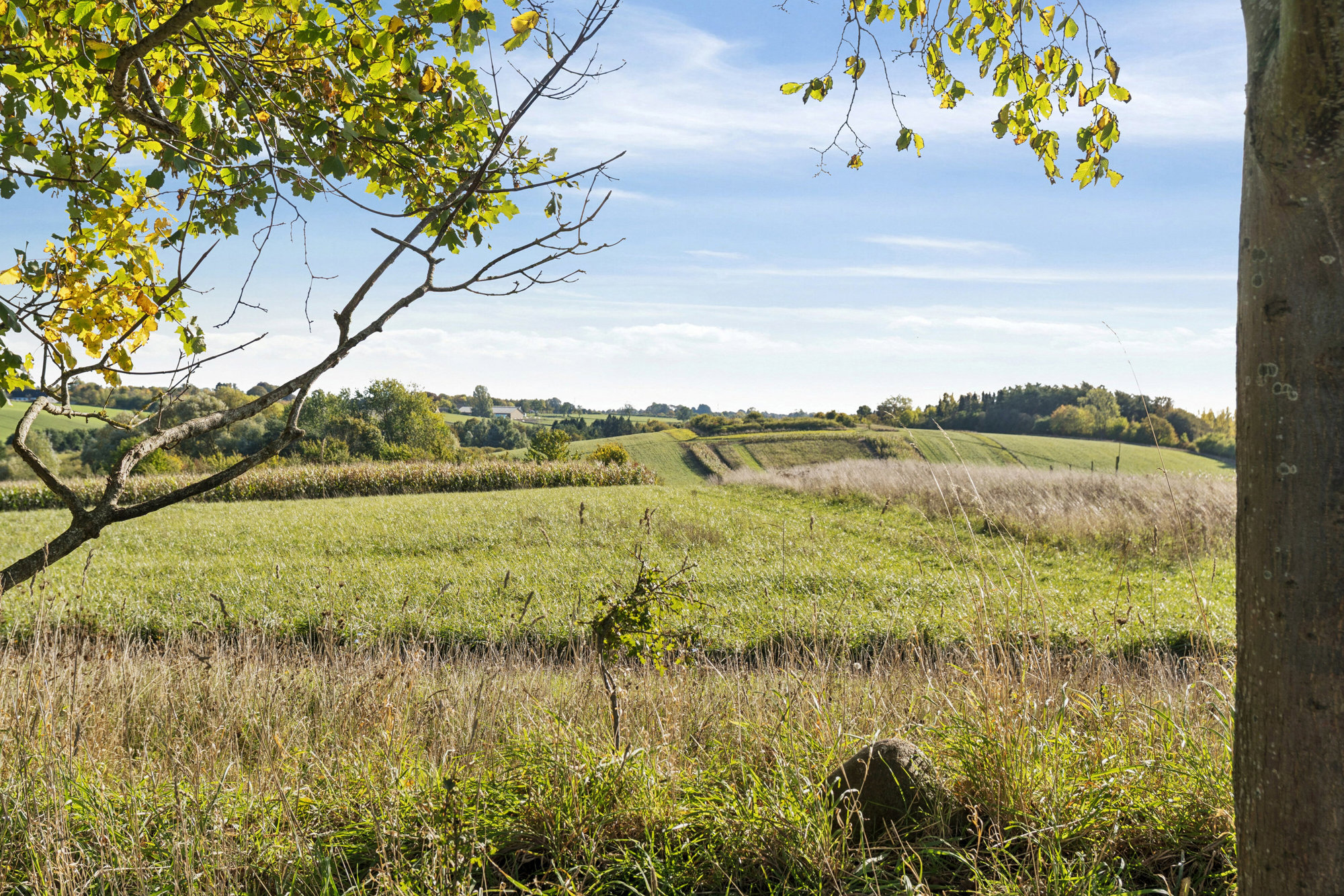 Diskret sag , 4000 Roskilde